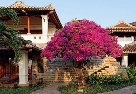TAKALAU RESIDENCE & RESORT 5*